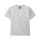 Ash Grey 