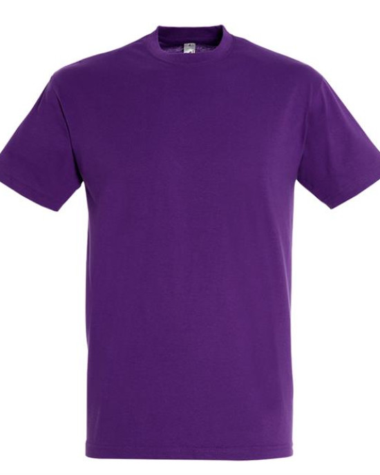 Мъжки тениски Regent Sol's|Мъжки тениски